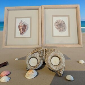 Crescent Beach Shells Signed 12x19 2 Ceramic Shell Shaped Candle Holders